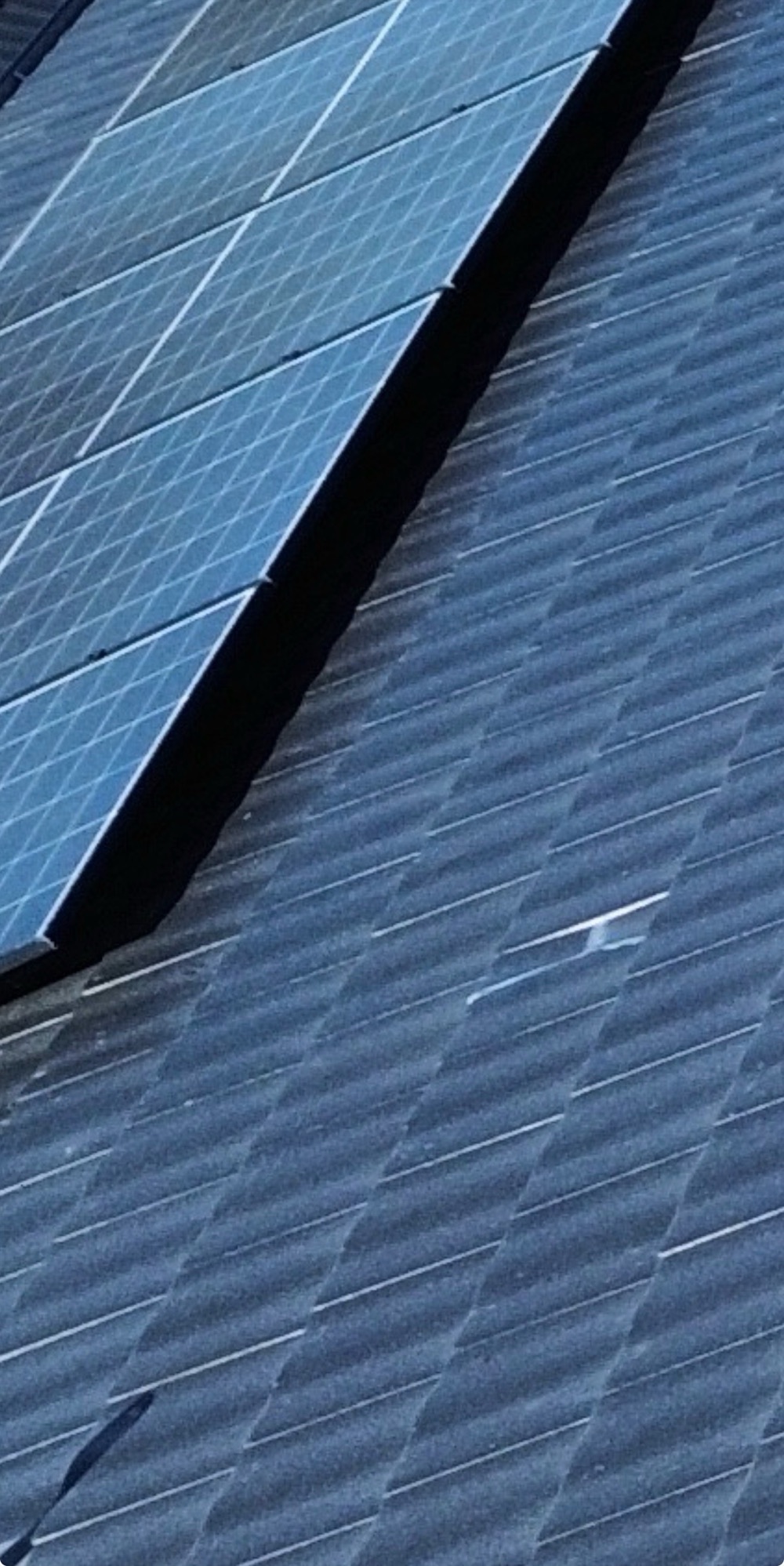 Recorded on a Donnybrook inspection, Donnybrook