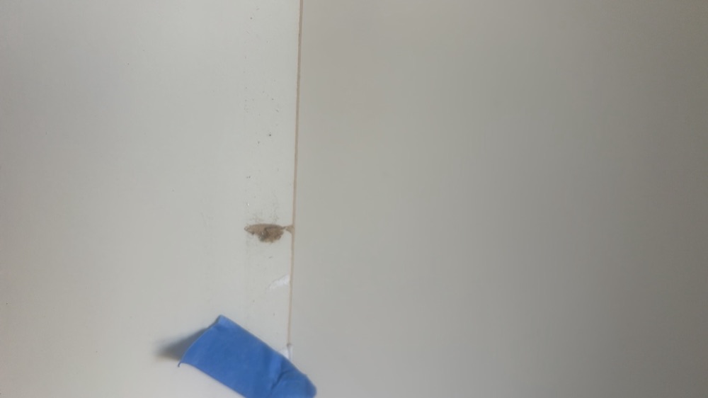 Door leaf, frame or architrave damaged and needing repair, recorded during a fixing inspection in Donnybrook