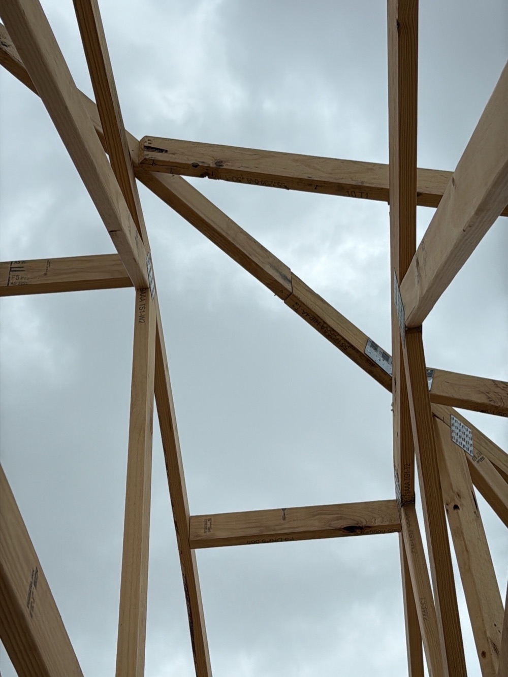Recorded on a Donnybrook inspection, Donnybrook