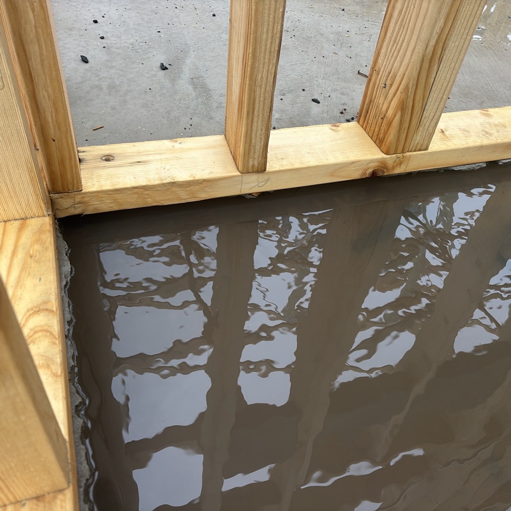 Recorded on a Donnybrook inspection, Donnybrook