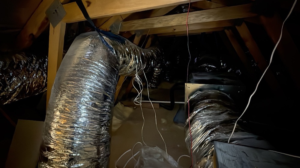 Recorded on a Donnybrook inspection, Donnybrook