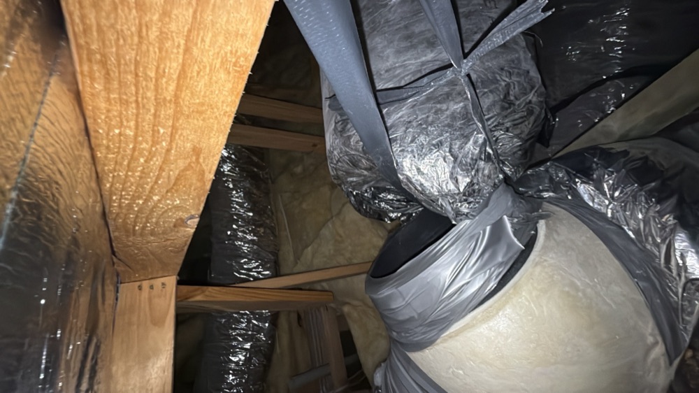 Recorded on a Donnybrook inspection, Donnybrook
