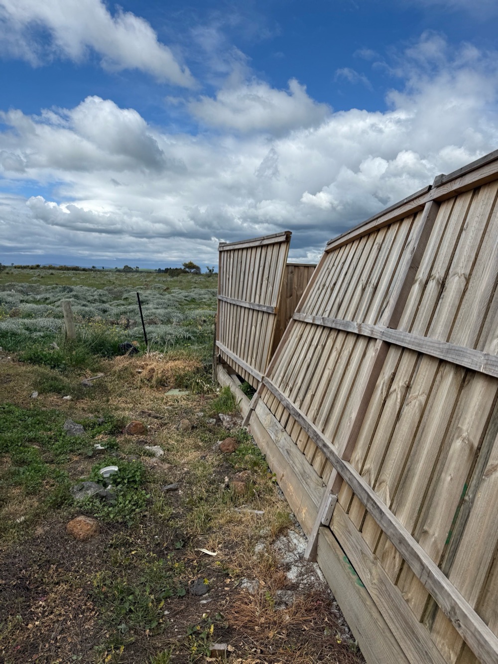 Rear boundary fence found in a semi collapsed state, recorded during a defect investigation in Donnybrook